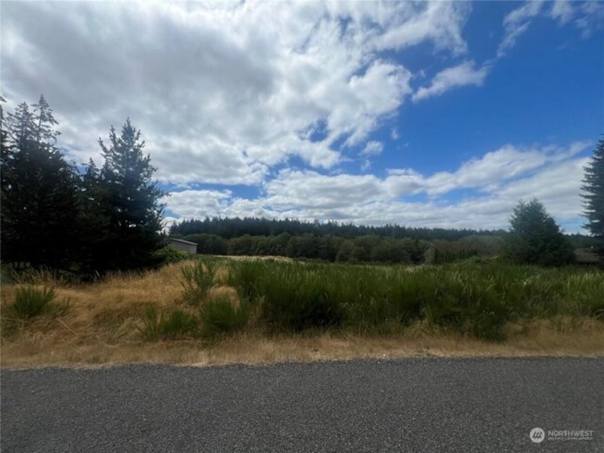 Picture of Residential Land For Sale in Anderson Island, Washington, United States