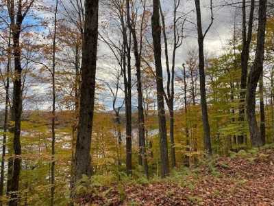 Residential Land For Sale in Old Forge, New York