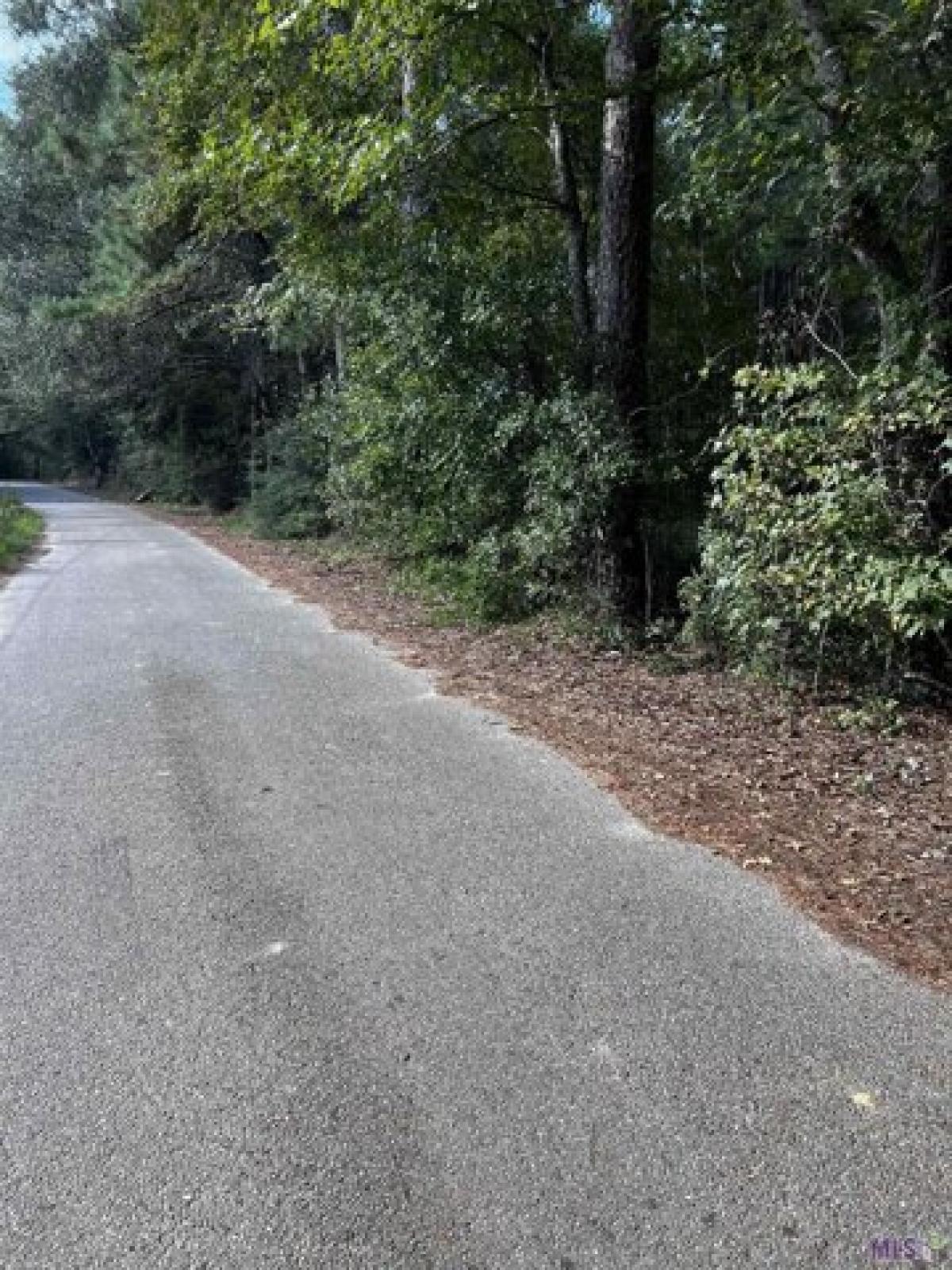 Picture of Residential Land For Sale in Slaughter, Louisiana, United States