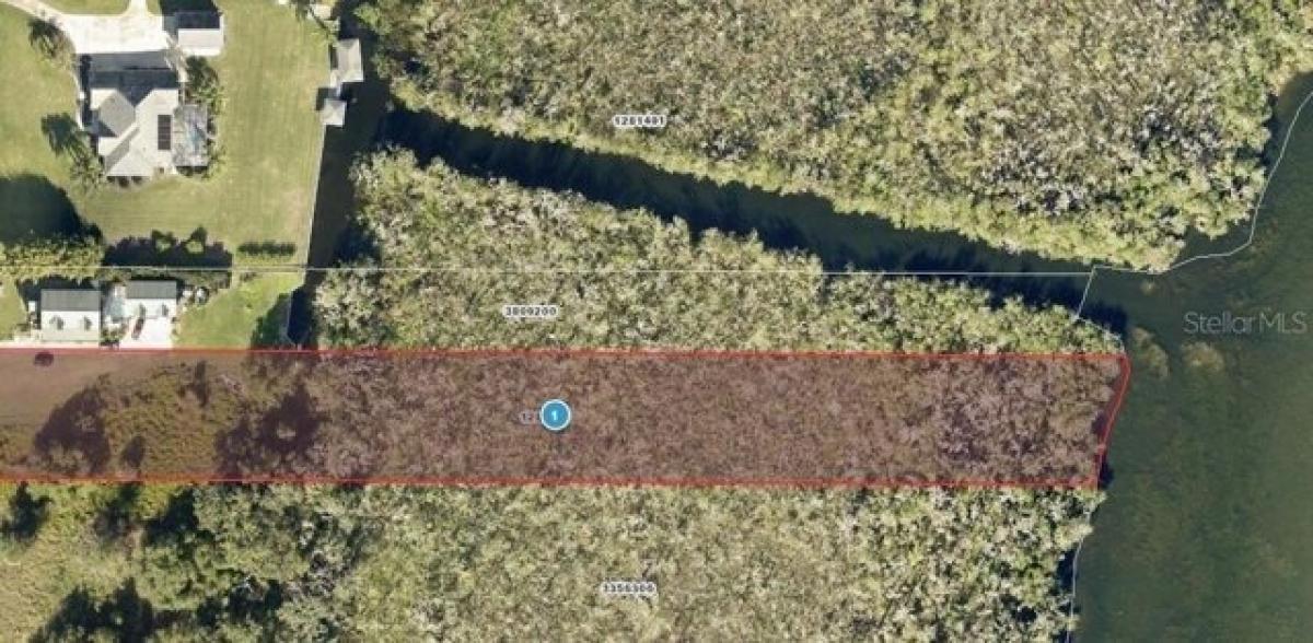 Picture of Residential Land For Sale in Lady Lake, Florida, United States