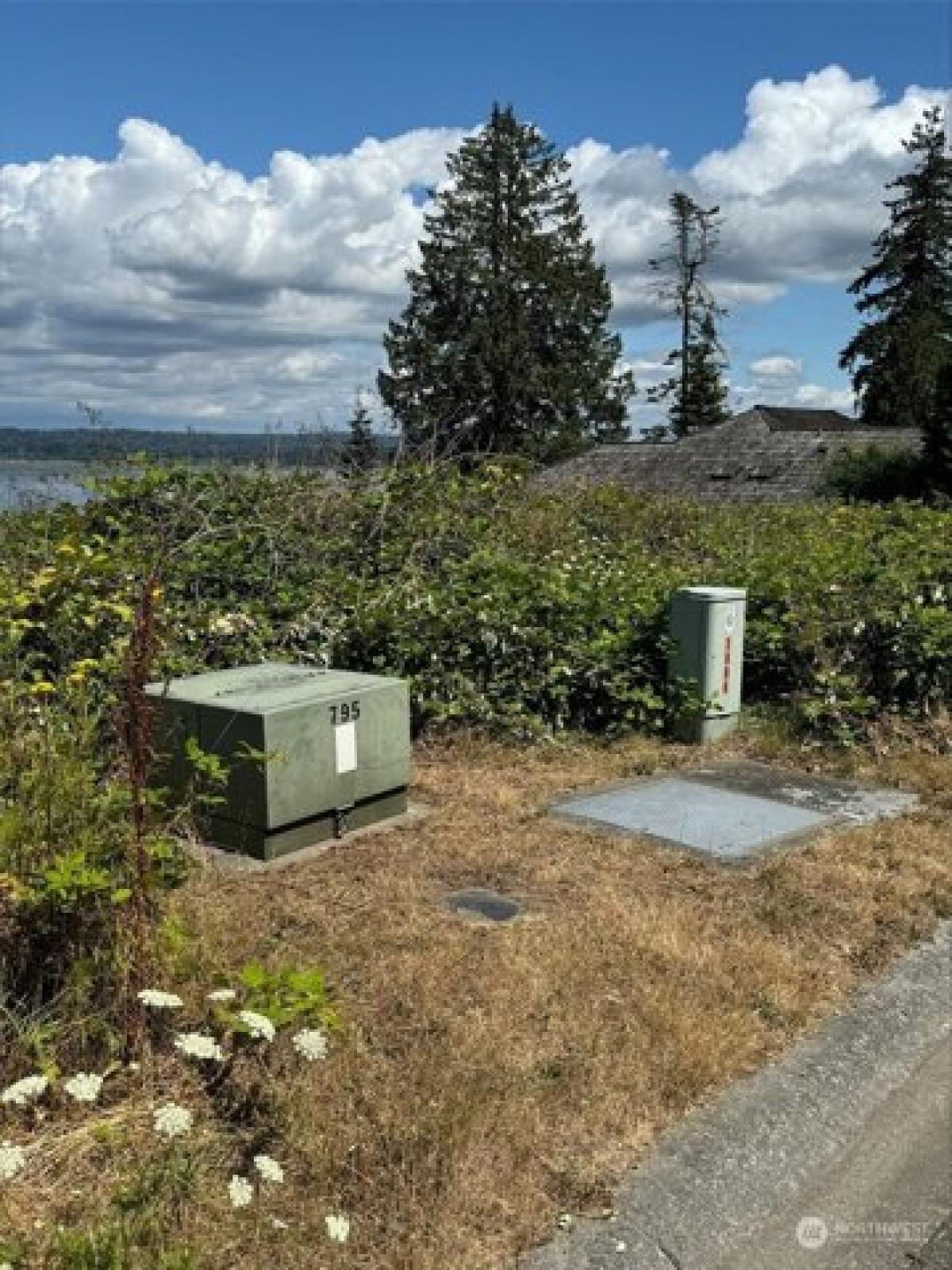 Picture of Residential Land For Sale in Blaine, Washington, United States