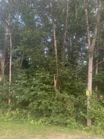 Residential Land For Sale in Saint Helen, Michigan