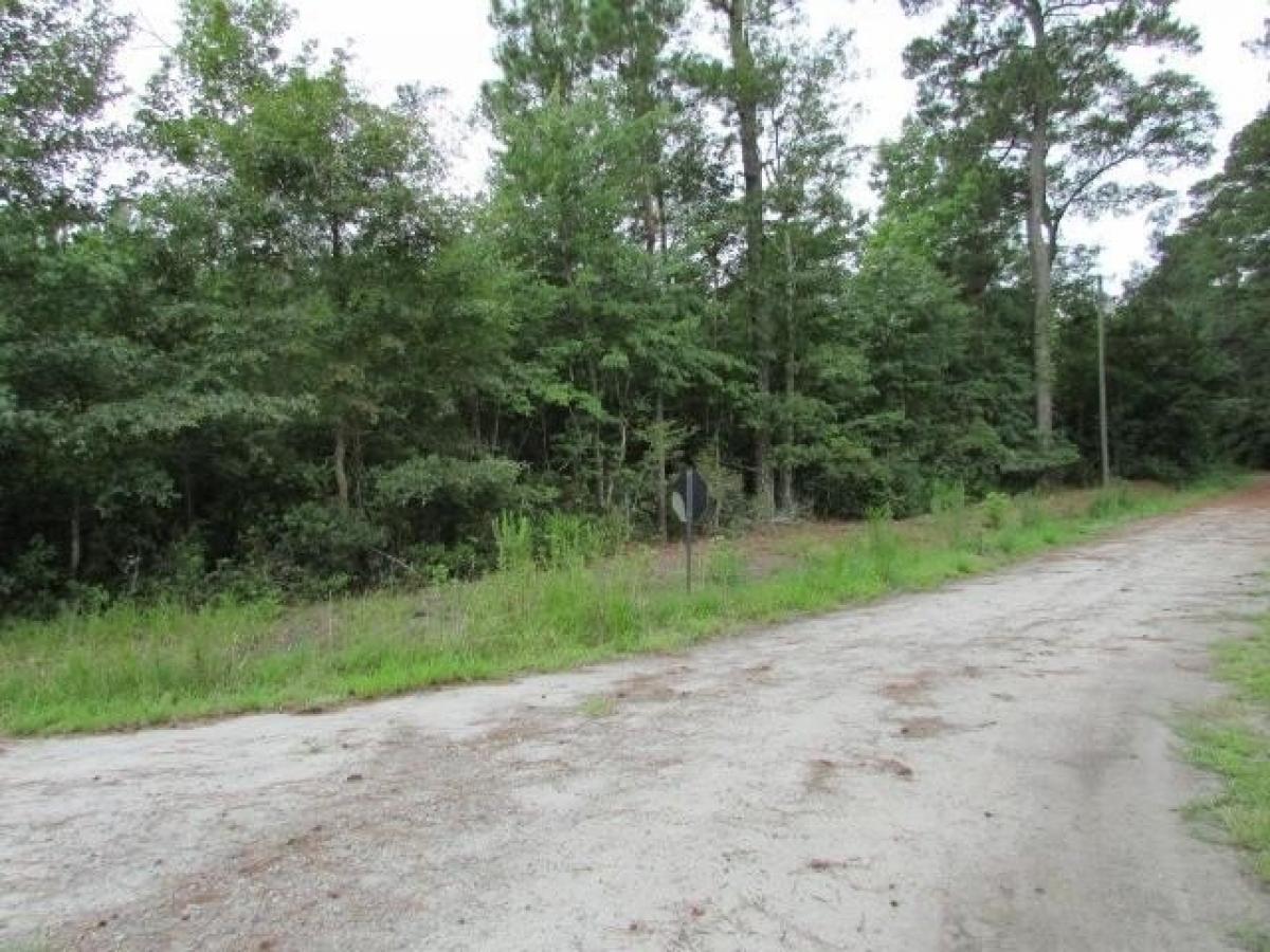 Picture of Residential Land For Sale in Sumter, South Carolina, United States