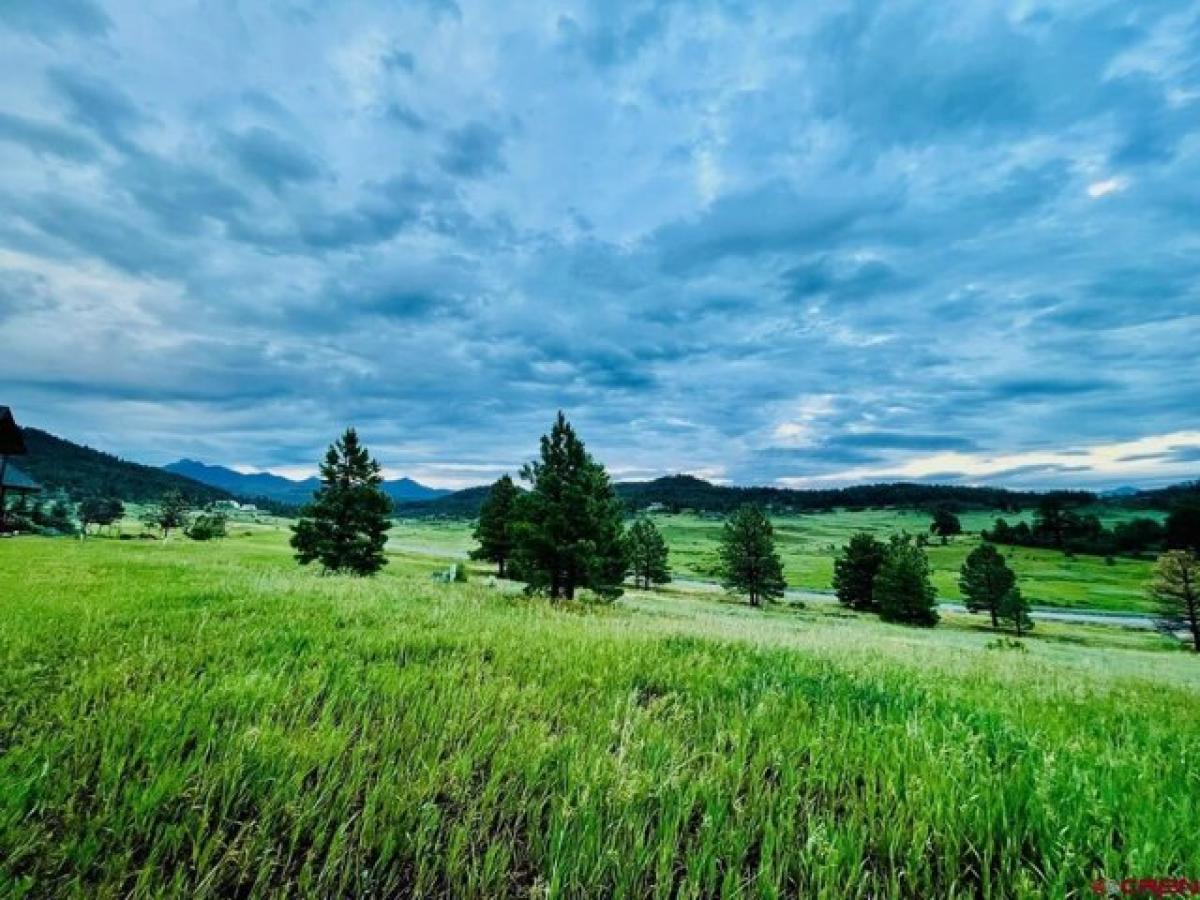 Picture of Residential Land For Sale in Pagosa Springs, Colorado, United States