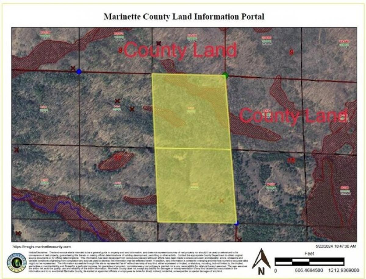 Picture of Residential Land For Sale in Pembine, Wisconsin, United States