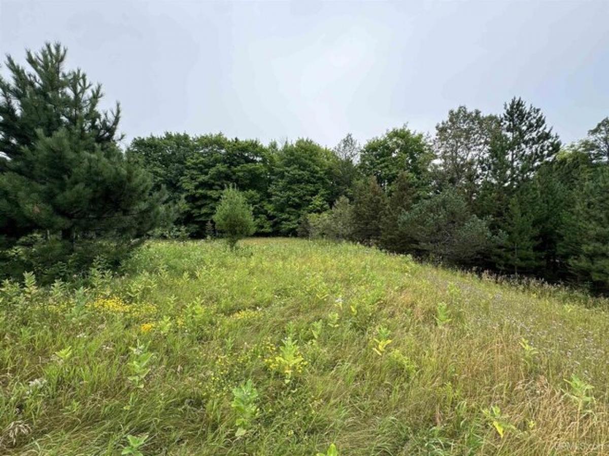 Picture of Residential Land For Sale in Channing, Michigan, United States