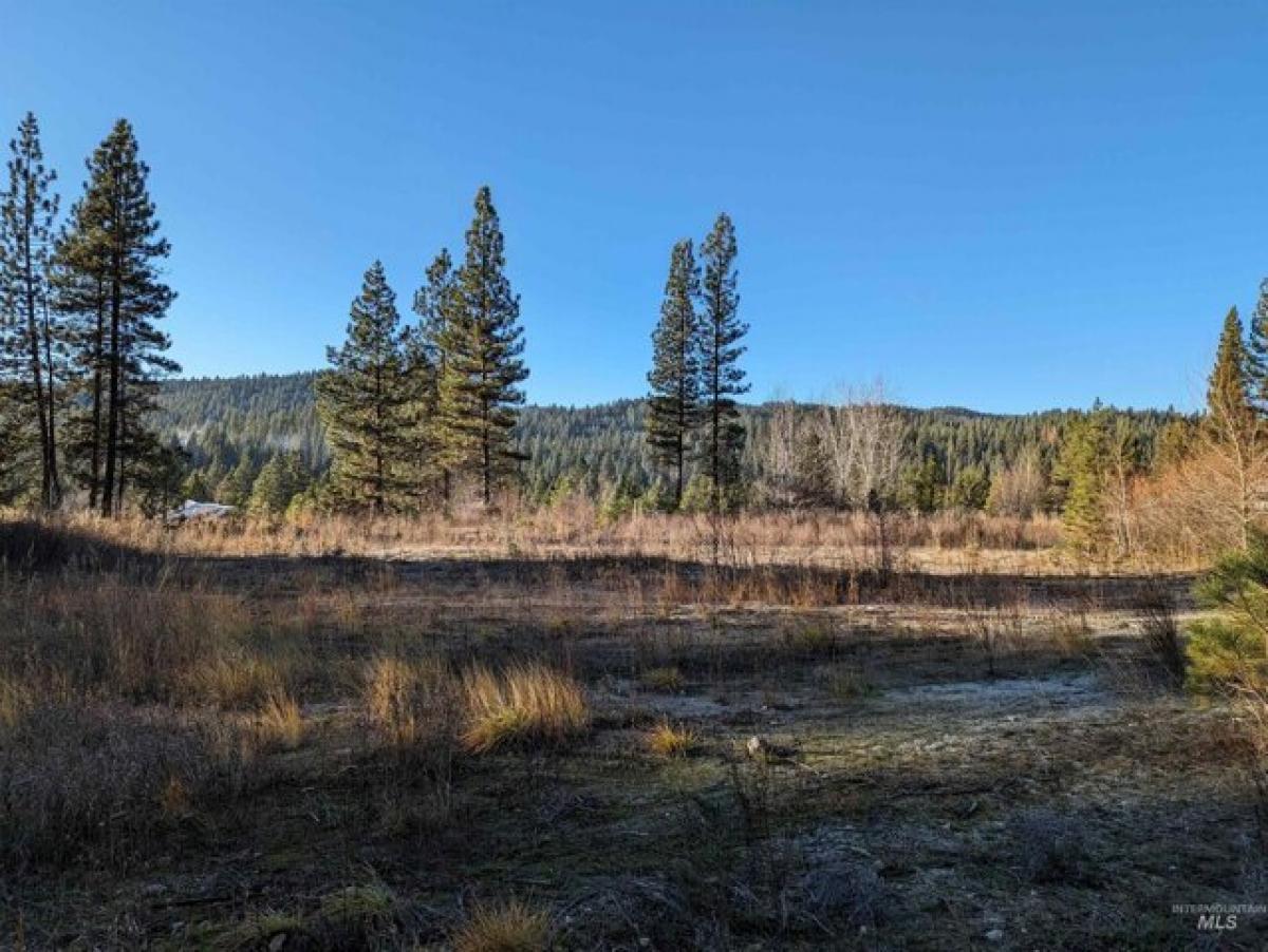 Picture of Residential Land For Sale in Idaho City, Idaho, United States