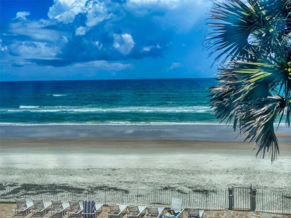 Picture of Home For Rent in New Smyrna Beach, Florida, United States