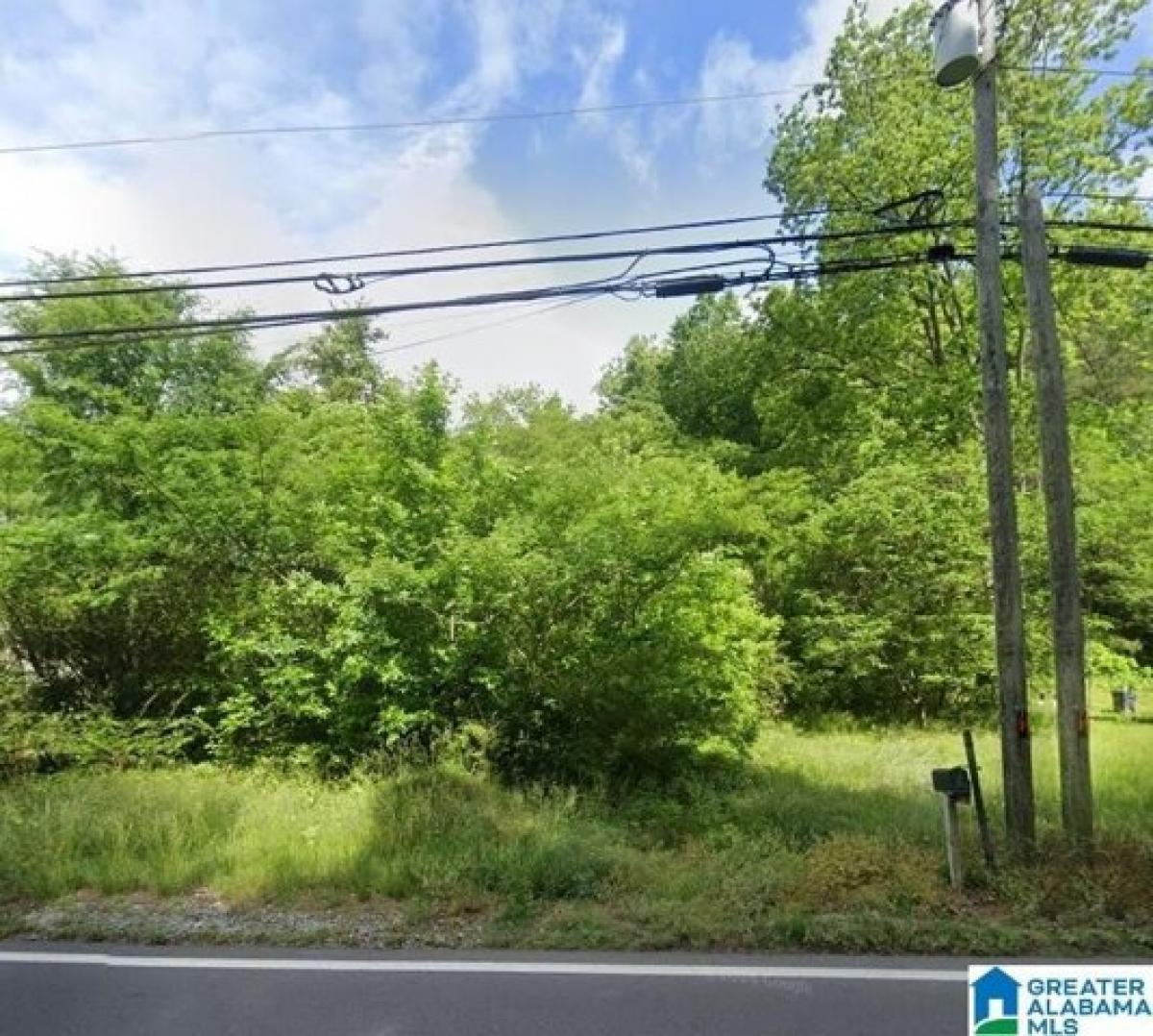 Picture of Residential Land For Sale in Leeds, Alabama, United States