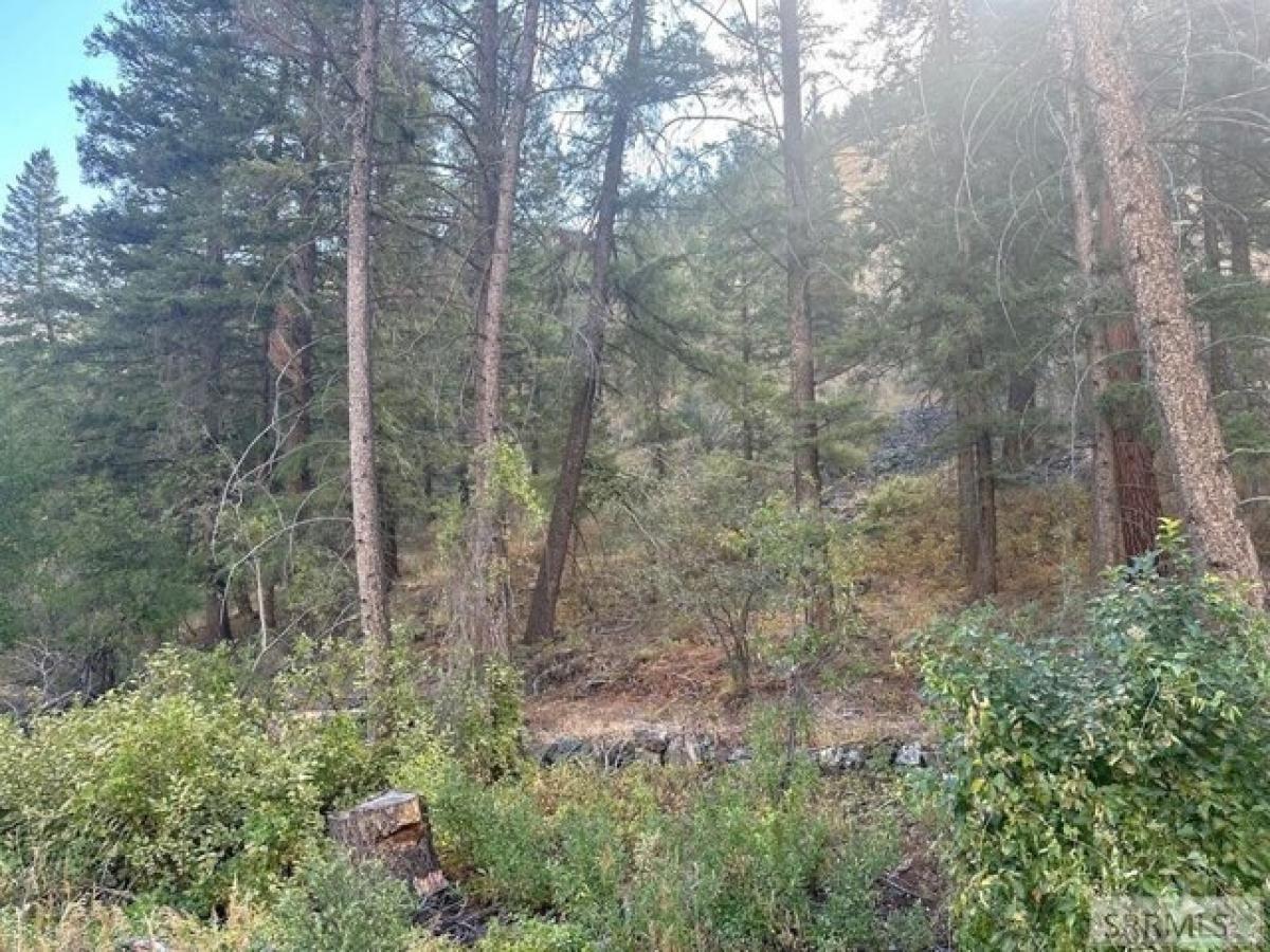 Picture of Residential Land For Sale in North Fork, Idaho, United States