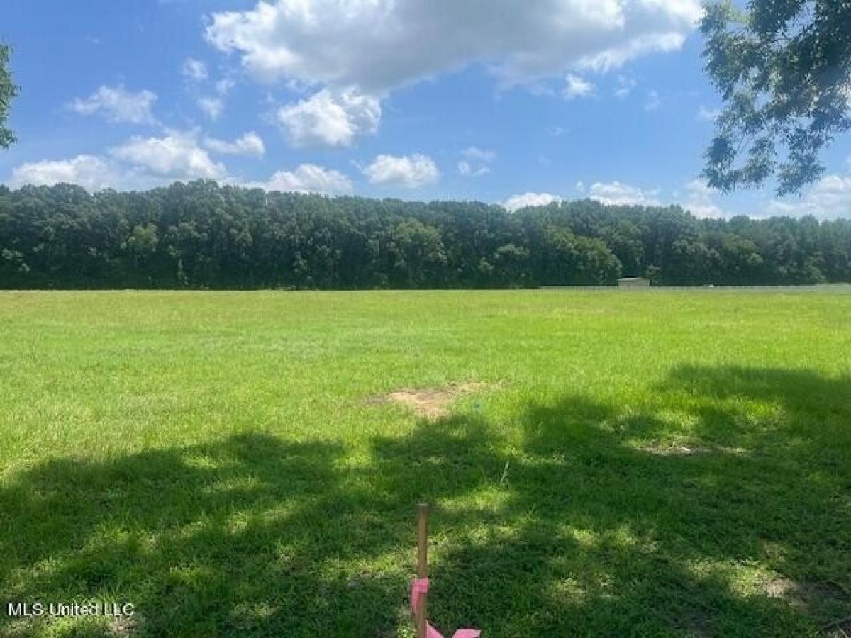 Picture of Residential Land For Sale in Greenwood, Mississippi, United States