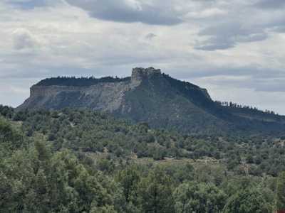 Residential Land For Sale in Pagosa Springs, Colorado