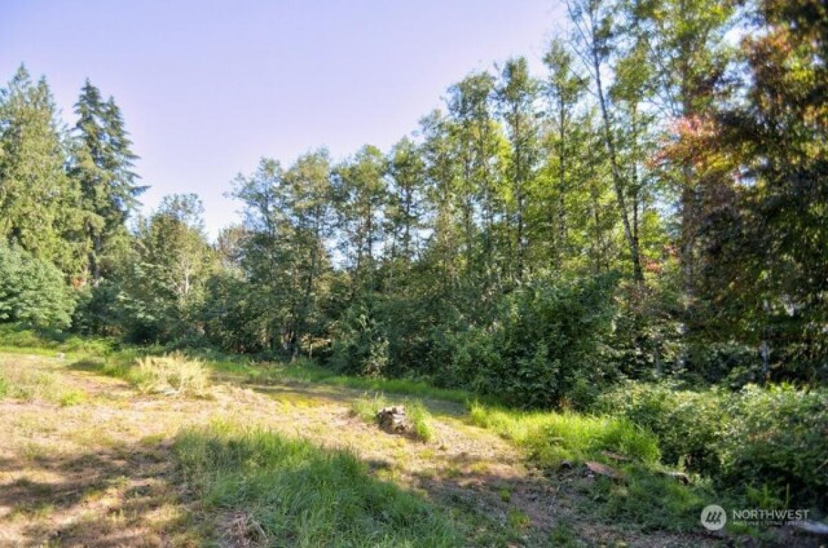 Picture of Home For Sale in Mossyrock, Washington, United States