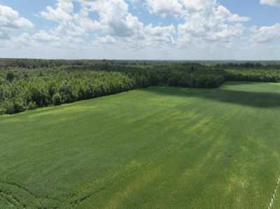 Residential Land For Sale in New Albany, Mississippi