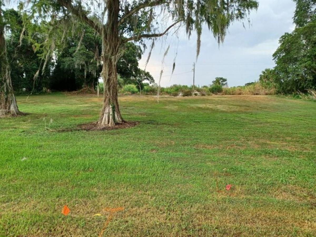 Picture of Residential Land For Sale in Canal Point, Florida, United States