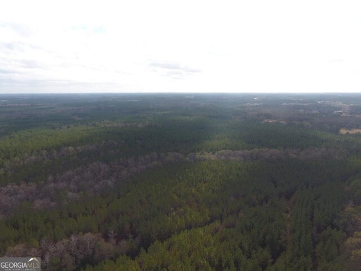 Picture of Residential Land For Sale in Alma, Georgia, United States