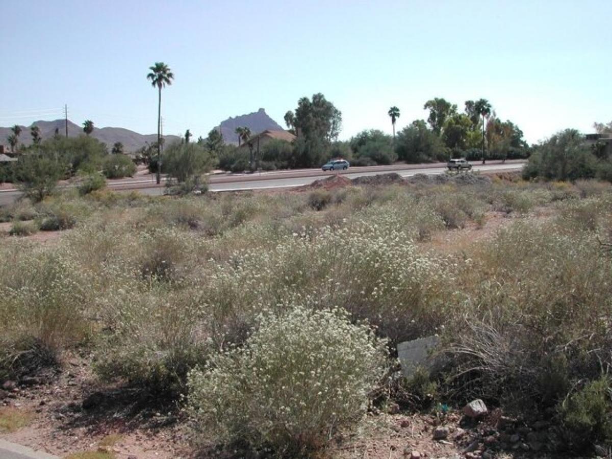 Picture of Residential Land For Sale in Fountain Hills, Arizona, United States