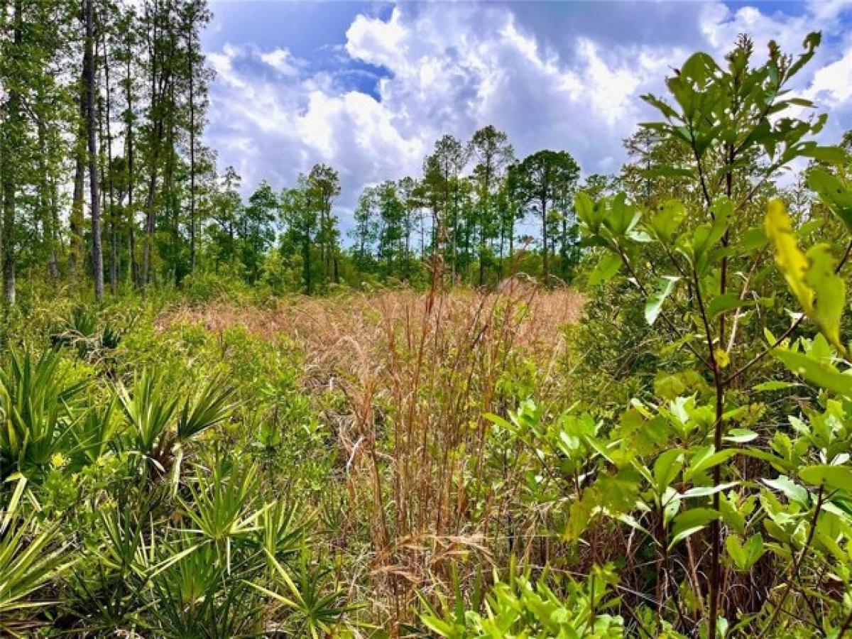 Picture of Residential Land For Sale in Crescent City, Florida, United States