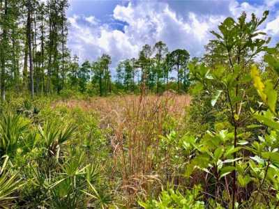 Residential Land For Sale in Crescent City, Florida