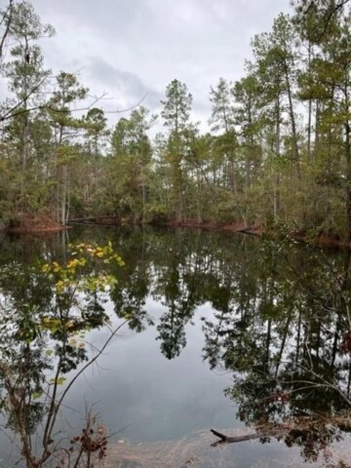 Picture of Residential Land For Sale in Valdosta, Georgia, United States