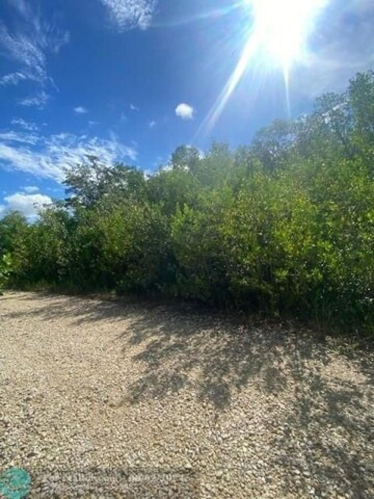 Picture of Residential Land For Sale in Everglades City, Florida, United States