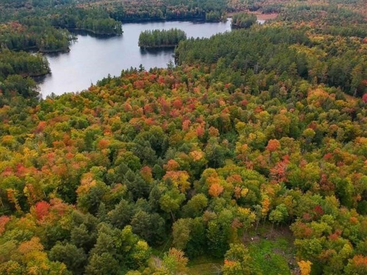 Picture of Residential Land For Sale in Londonderry, Vermont, United States