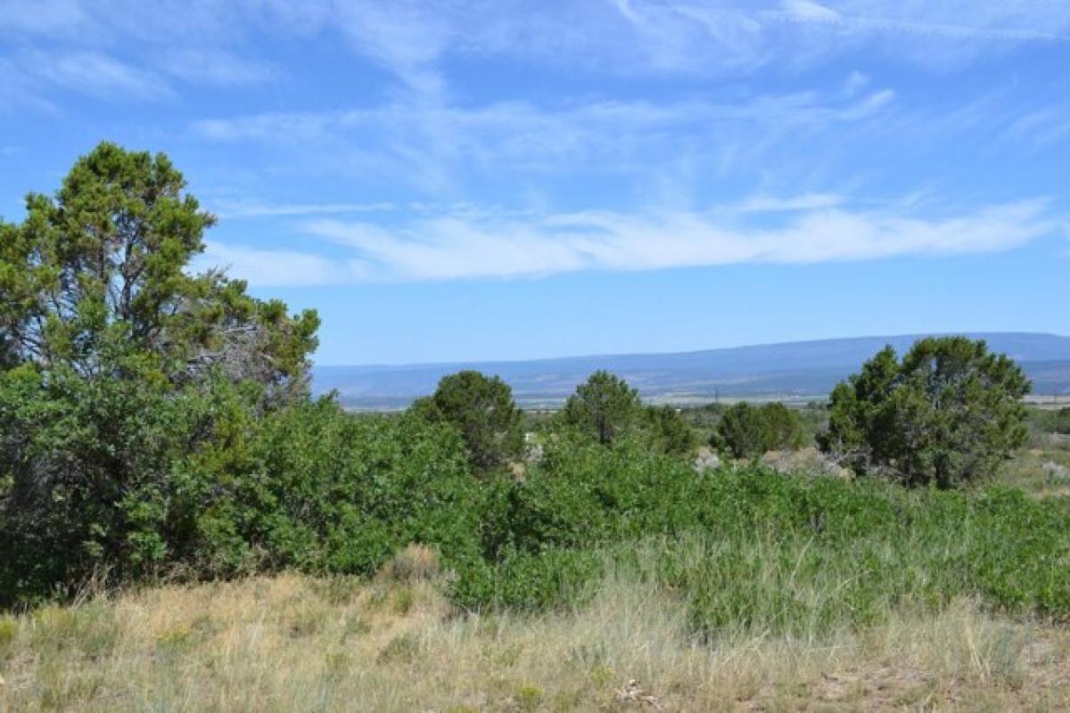 Picture of Residential Land For Sale in Norwood, Colorado, United States