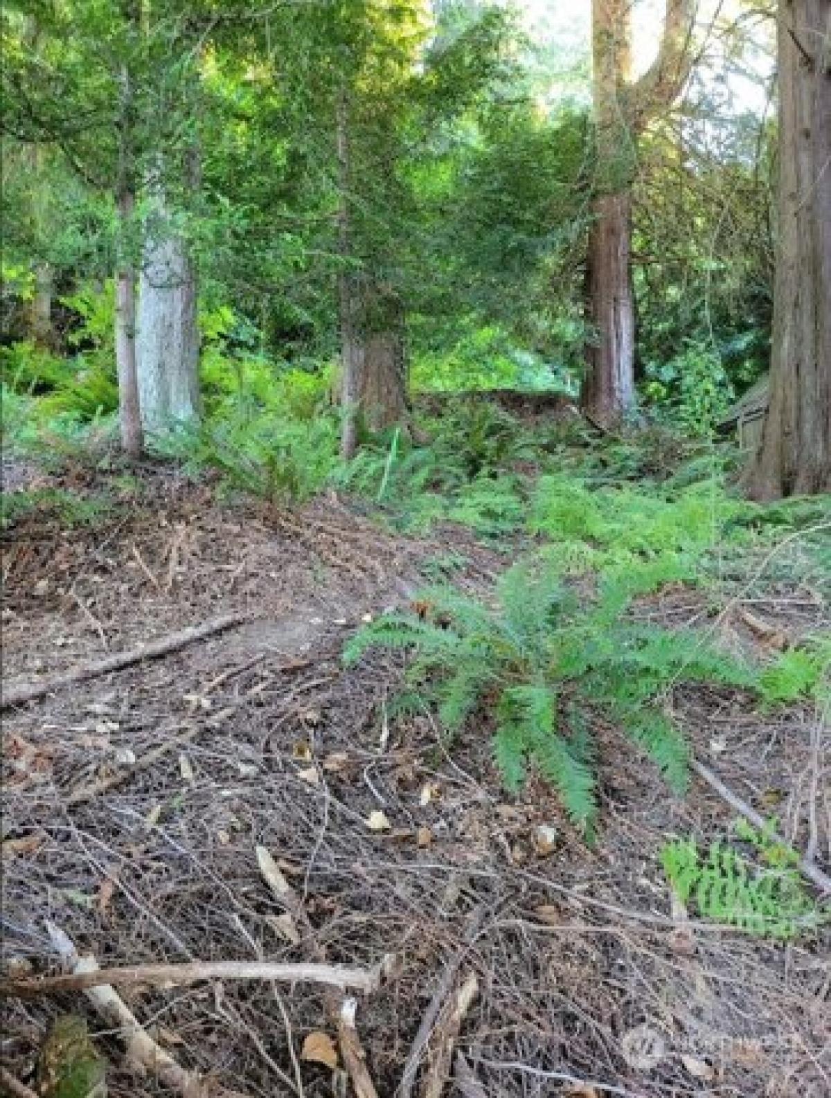 Picture of Residential Land For Sale in Stanwood, Washington, United States