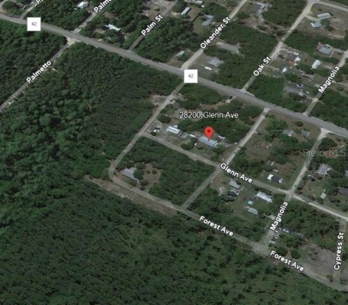 Picture of Residential Land For Sale in Paisley, Florida, United States