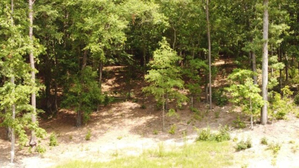 Picture of Residential Land For Sale in Aiken, South Carolina, United States