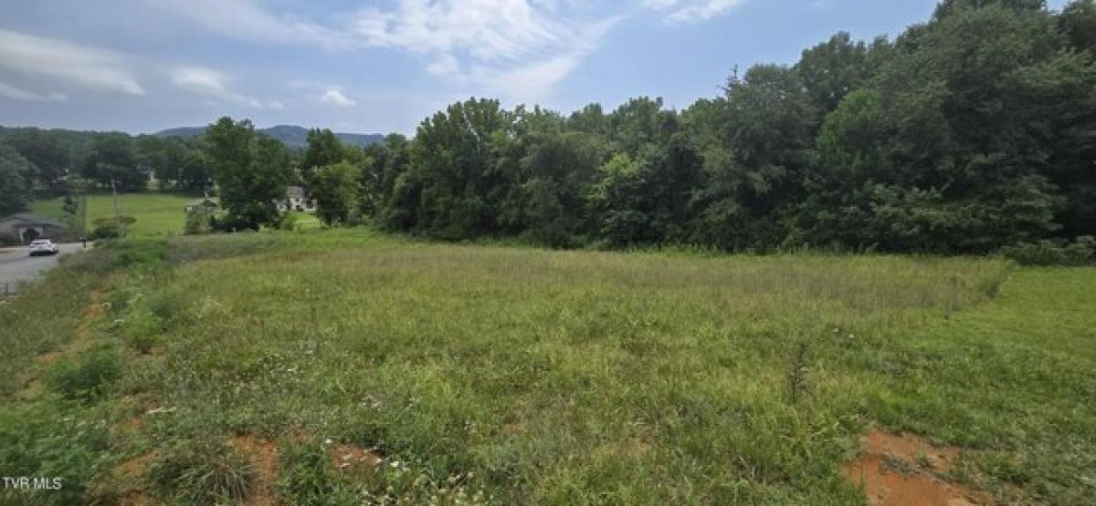 Picture of Residential Land For Sale in Johnson City, Tennessee, United States