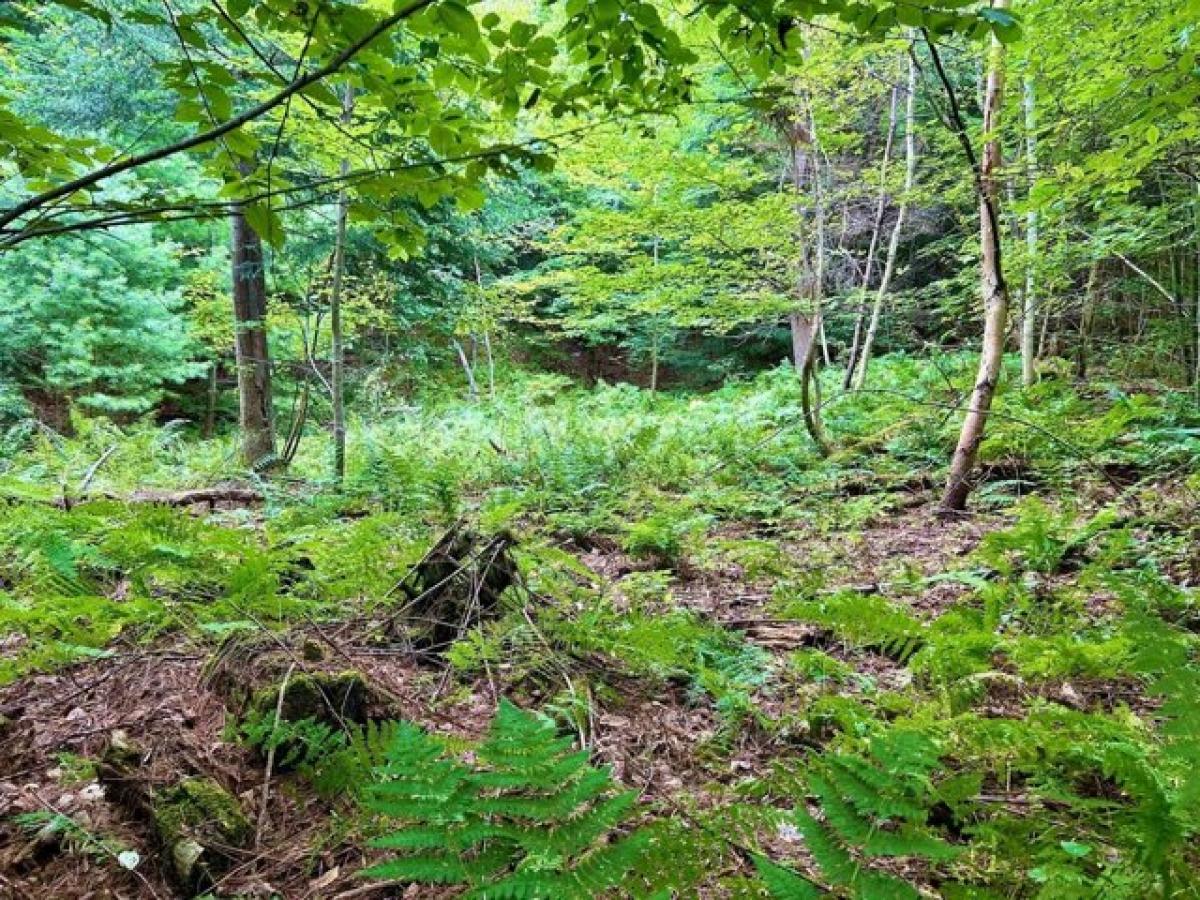 Picture of Residential Land For Sale in Haverhill, New Hampshire, United States