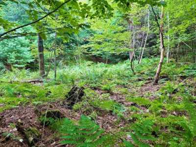 Residential Land For Sale in 