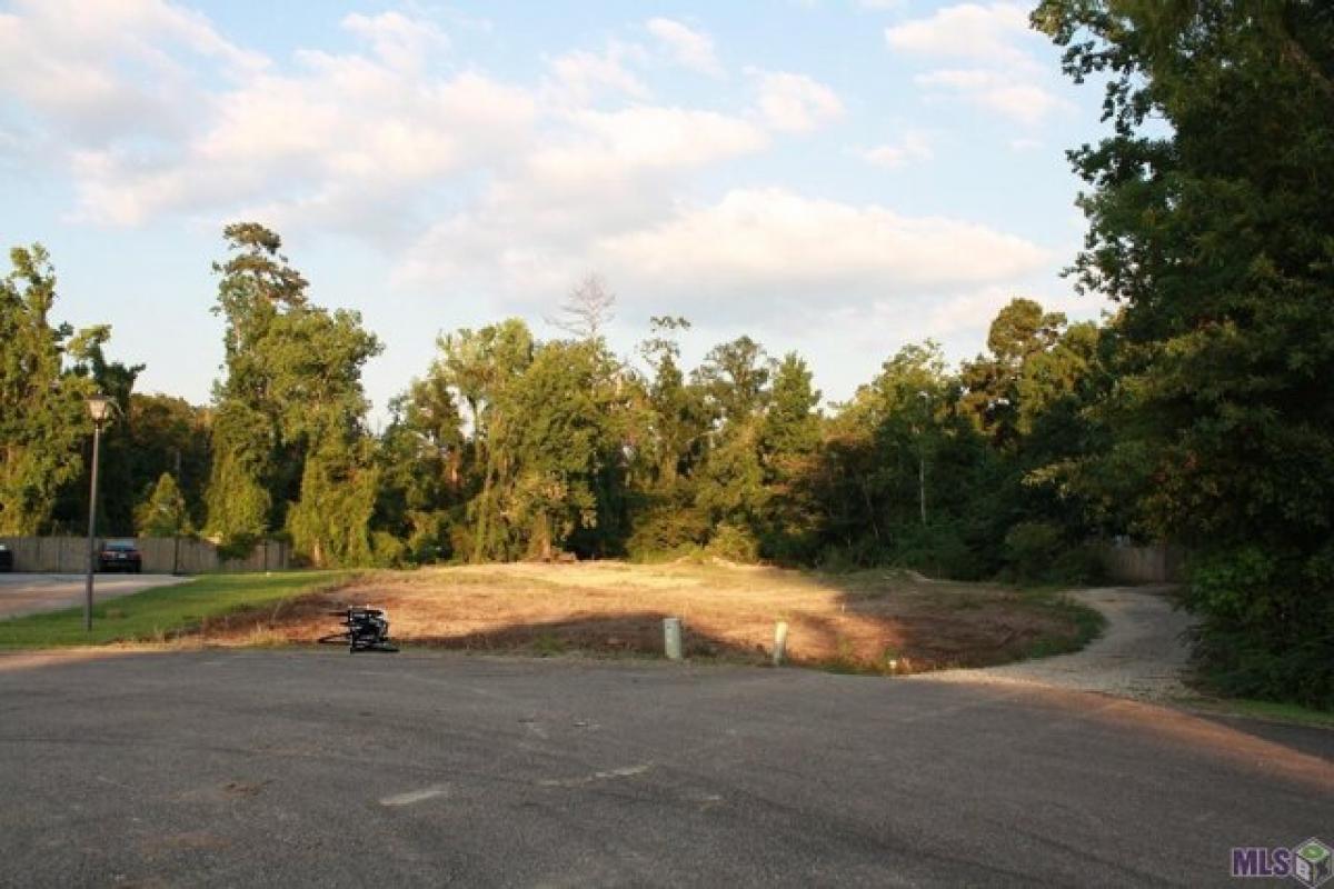 Picture of Residential Land For Sale in Ponchatoula, Louisiana, United States