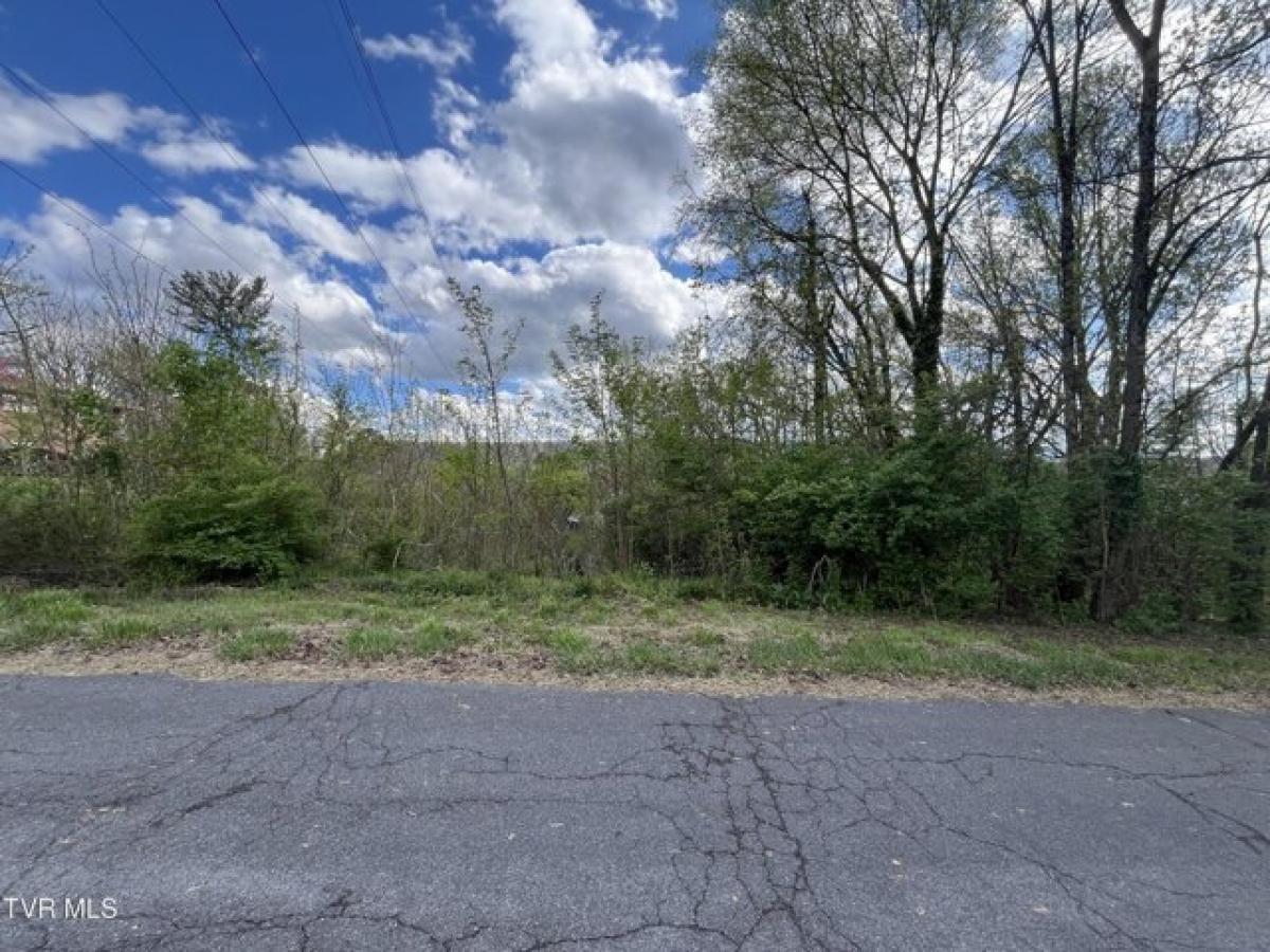 Picture of Residential Land For Sale in Kingsport, Tennessee, United States