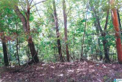 Residential Land For Sale in Talladega, Alabama