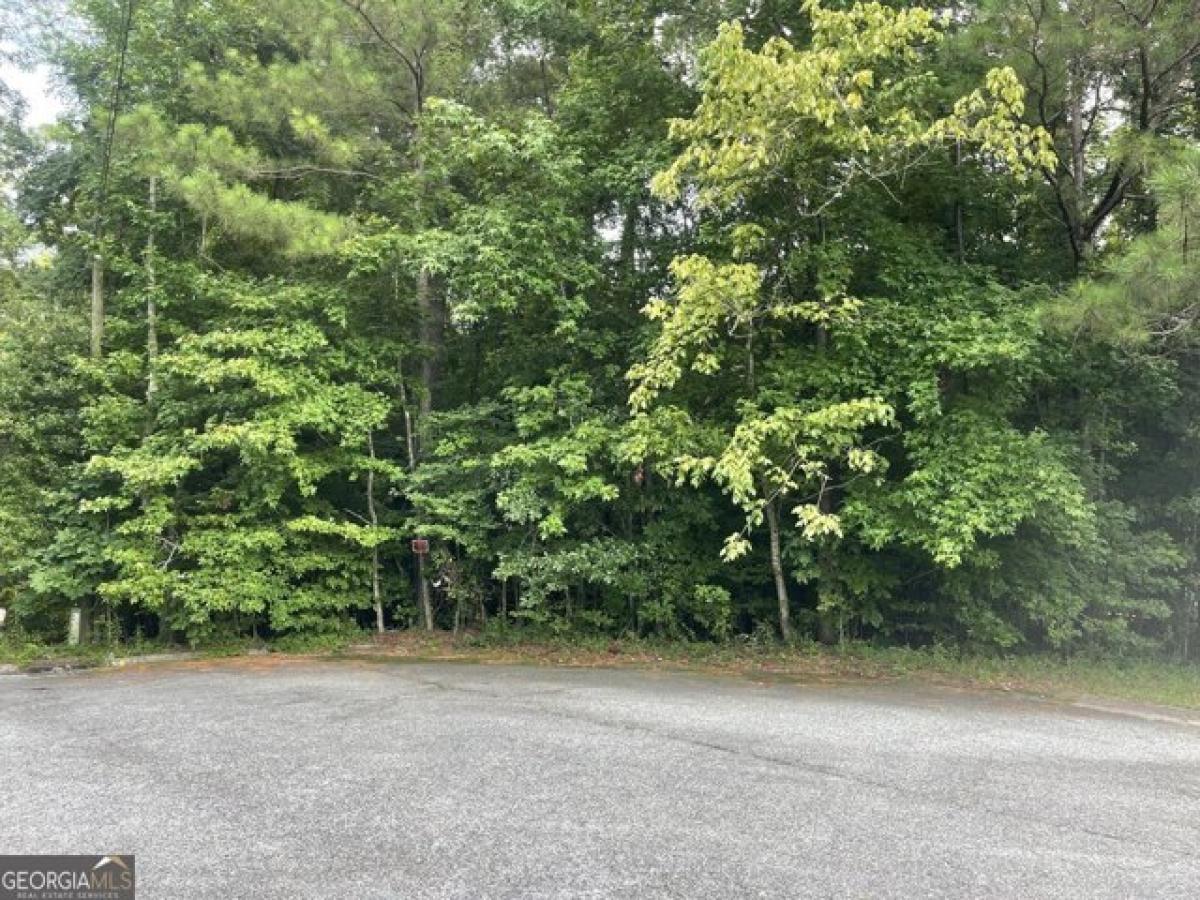 Picture of Residential Land For Sale in Macon, Georgia, United States