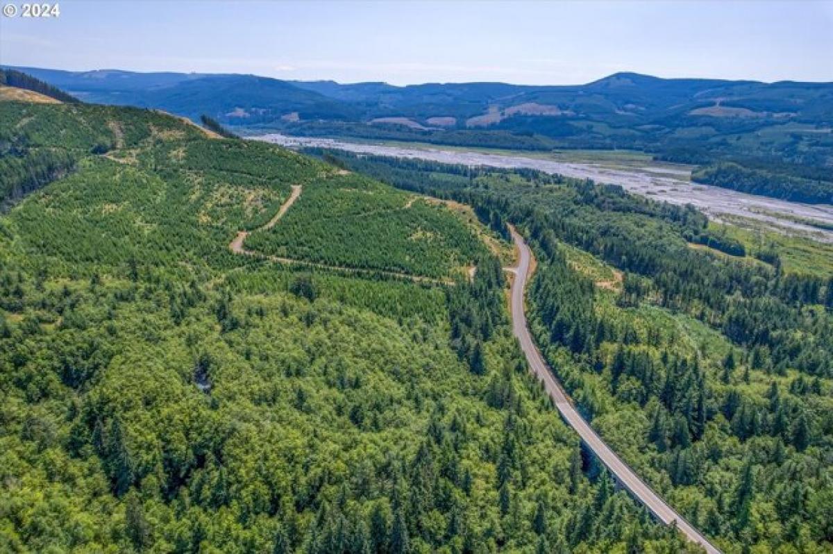 Picture of Residential Land For Sale in Toutle, Washington, United States