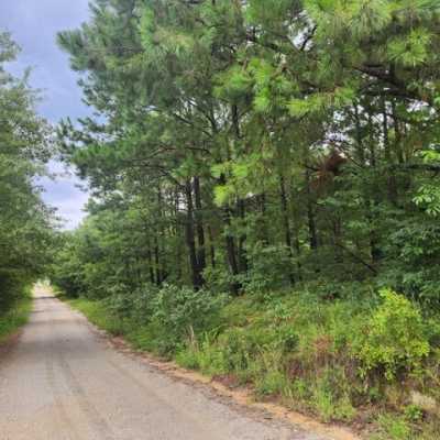 Residential Land For Sale in Wadley, Georgia