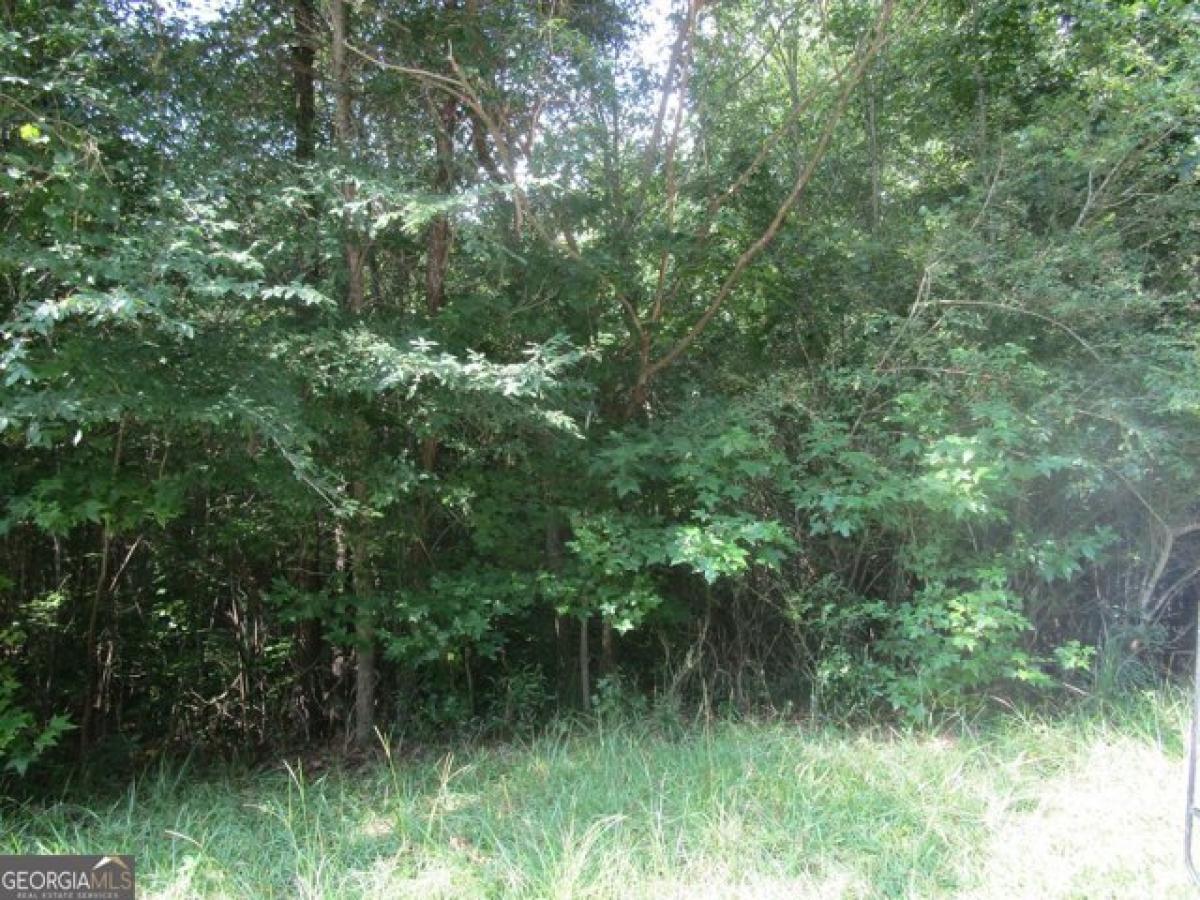 Picture of Residential Land For Sale in Griffin, Georgia, United States