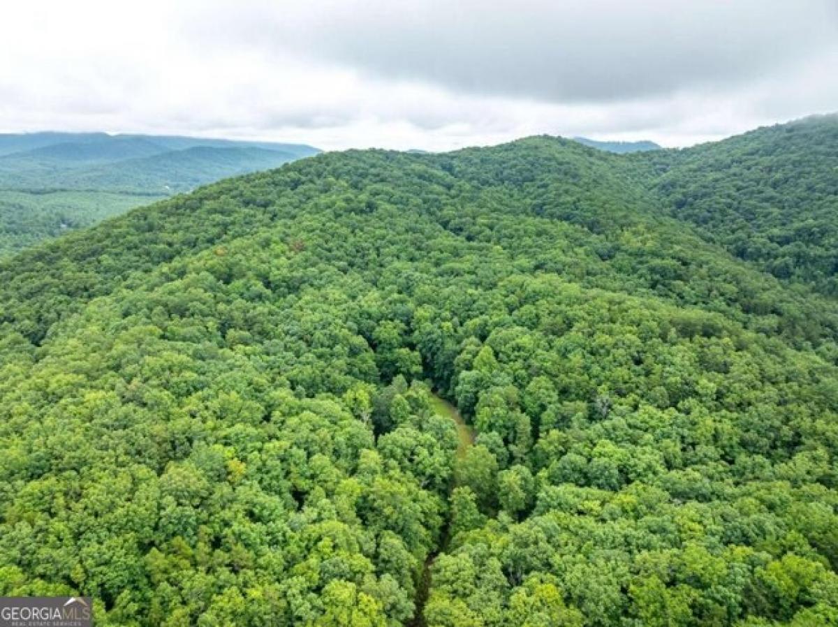 Picture of Residential Land For Sale in Mineral Bluff, Georgia, United States