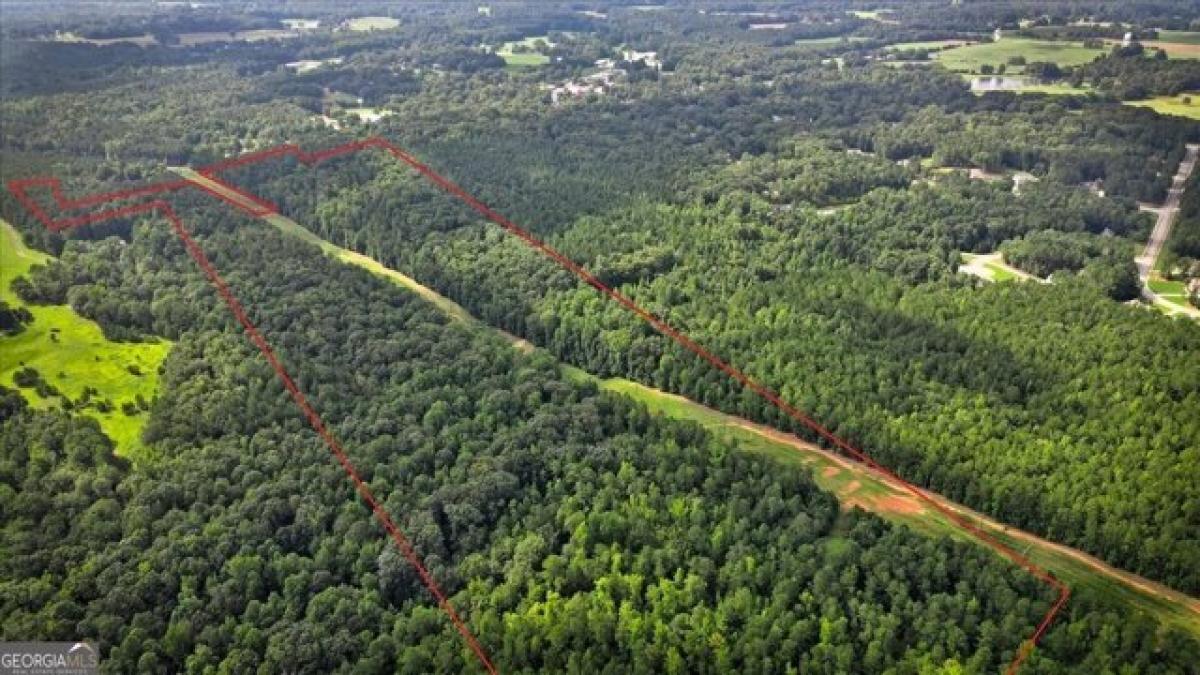 Picture of Residential Land For Sale in Rutledge, Georgia, United States