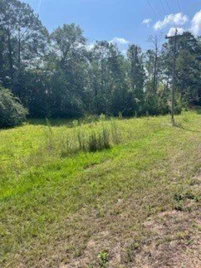 Residential Land For Sale in Greenville, Alabama