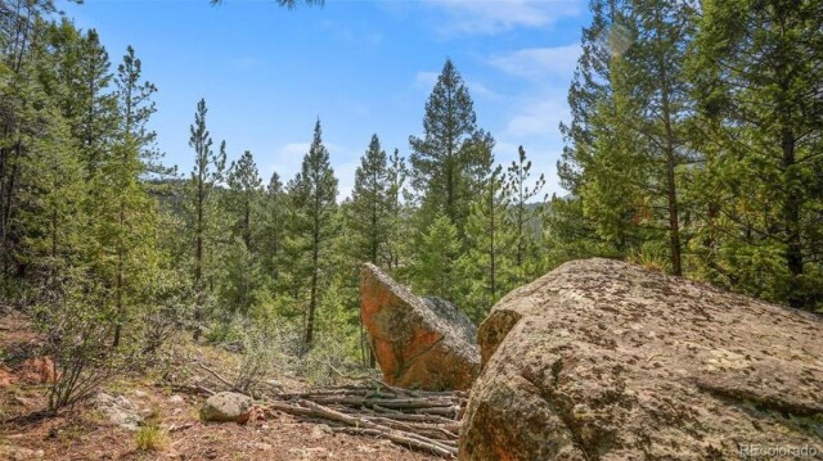 Picture of Residential Land For Sale in Pine, Colorado, United States