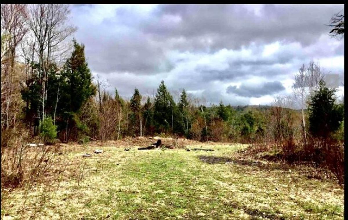 Picture of Residential Land For Sale in Bradford, New Hampshire, United States