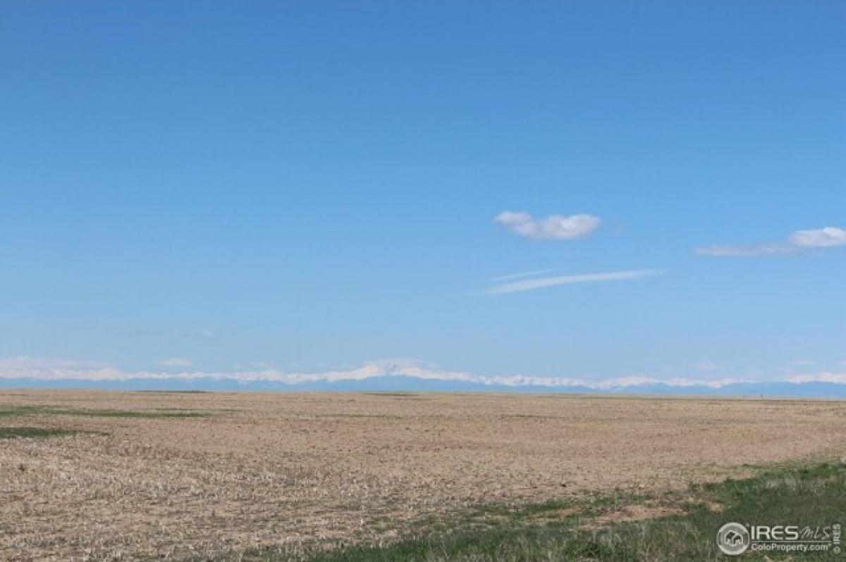 Picture of Residential Land For Sale in Briggsdale, Colorado, United States