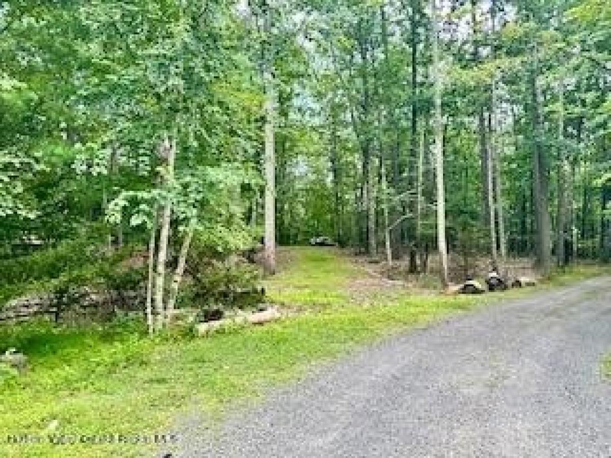 Picture of Residential Land For Sale in Bearsville, New York, United States