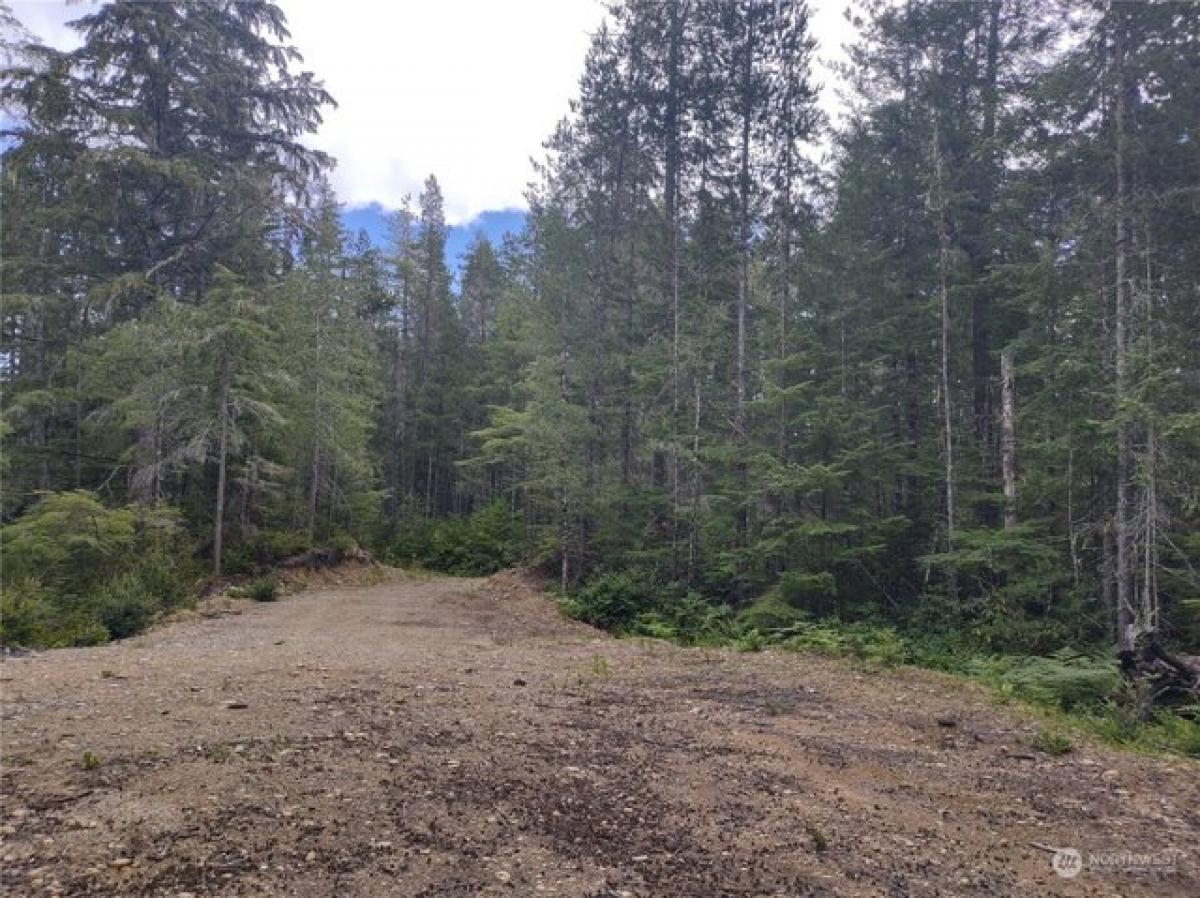 Picture of Residential Land For Sale in Belfair, Washington, United States