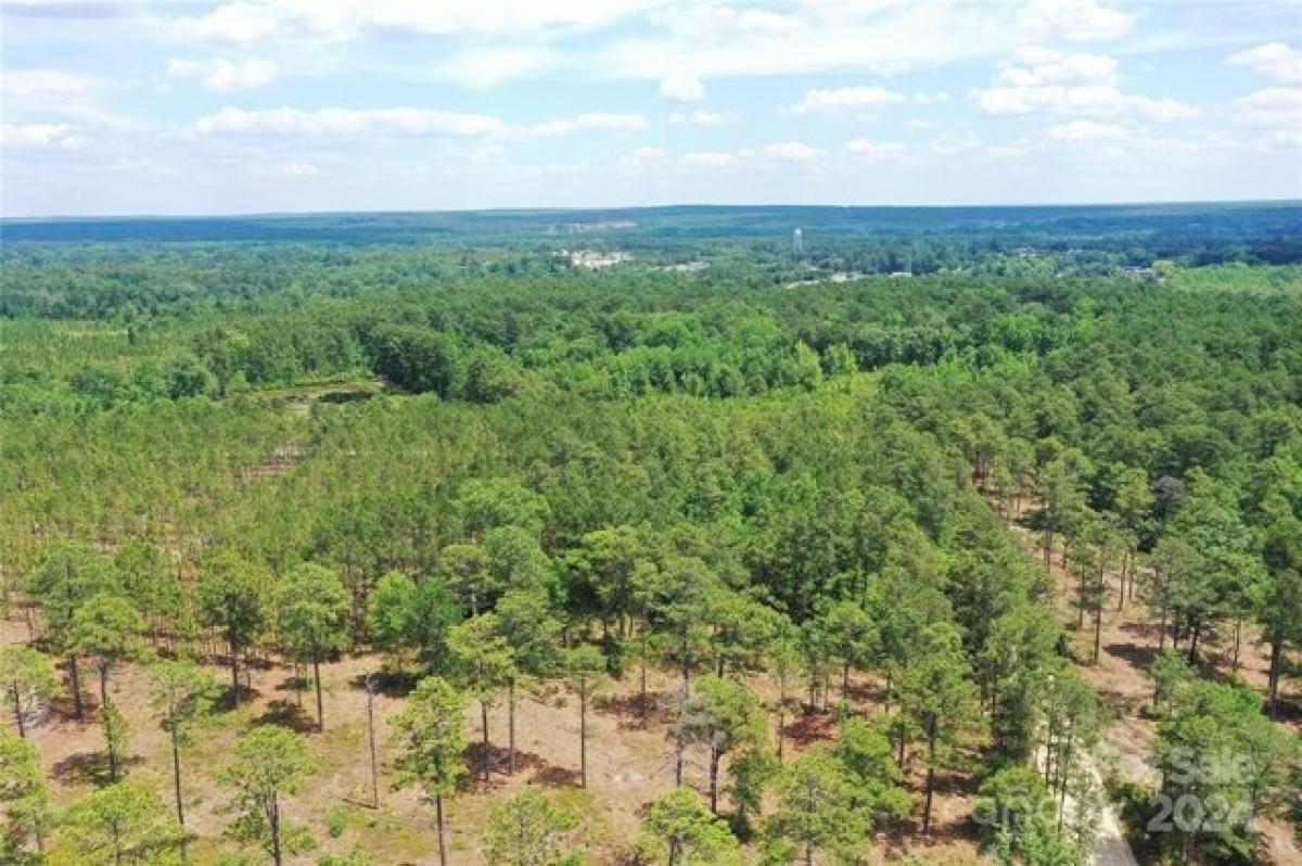 Picture of Residential Land For Sale in Patrick, South Carolina, United States