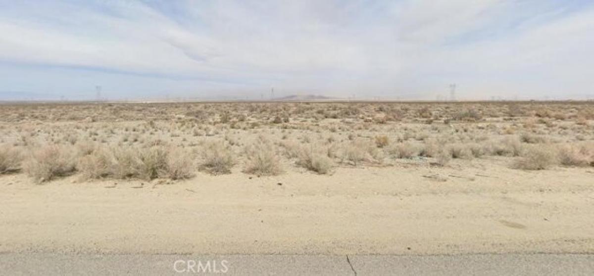 Picture of Residential Land For Sale in Pearblossom, California, United States